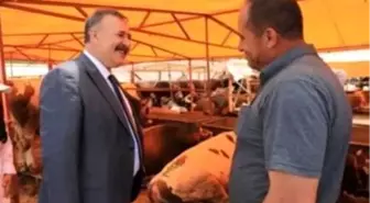 Trabzon'da Kurban Bayramı Hazırlıkları Devam Ediyor