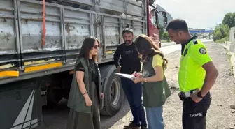 Tercan'da Kurbanlık Hayvan Sevkiyatlarına Yoğun Denetim