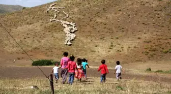 Erzincan Tulum Peyniri AB'den Coğrafi İşaret Tescili Aldı