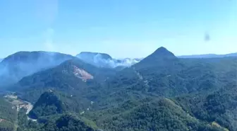Marmaris'te Orman Yangını Çıktı