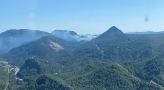 Marmaris'te Orman Yangını: Ekipler Müdahale Ediyor