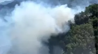 Marmaris'te Orman Yangınına Hava ve Karadan Müdahale