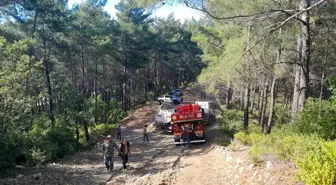 Marmaris'te Orman Yangınına Hızla Müdahale