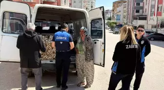 Bilecik'te 'Taşköprü Sarımsağı' İthalatı: Çin'den Geldiği Ortaya Çıktı