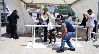 Kırşehir'de Bilim Şenliği: Engellilerin Yaşamı Deneyimlendi