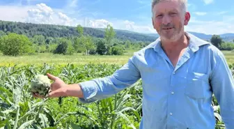 Çiftçinin 1 yıllık emeği 1 gecede gitti
