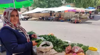 5 Çocuk Anneden Aile Ekonomisine Destek: Asma Yaprağı Satışı
