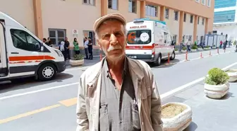 Böbrek Yetmezliğiyle Mücadele Eden Aysel Tanlak İçin Acil Nakil İhtiyacı