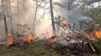 Bolu'da Yıldırım Düşmesi Sonucu Orman Yangını Çıktı