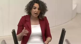 DEM Partili Çiçek Otlu'nun translarla ilgili talebi büyük tartışma yarattı