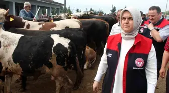 Bayram Öncesi Hayvan Sevklerine Yoğun Denetim