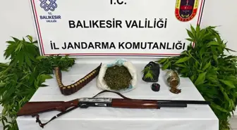 Balıkesir'de Uyuşturucu Operasyonu: 93 Kök Kenevir ve 2 Kilo Esrar Ele Geçirildi