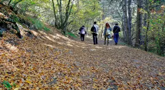 Eskişehir ve Afyonkarahisar'da Ormanlara Girişler Yasaklandı