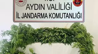 Aydın'da Uyuşturucu Operasyonunda 17 Şüpheli Yakalandı