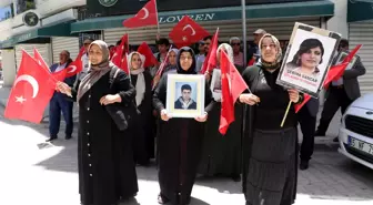 Van'da dağa kaçırılan çocukları için aileler DEM Parti il binası önünde yürüdü