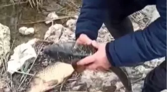 Kovada Gölü'nde Kaçak Avcılara 176 Bin TL Ceza