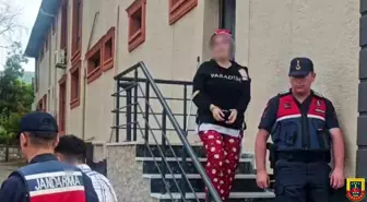 Sapanca'da Dolandırıcılık Olayı: 4 Küçükbaş Hayvan Çalındı