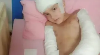 Sokak köpeklerinin saldırdığı Tunahan'ın davasında beraat gerekçesi; Kastla hareket ettiklerine dair delil yok