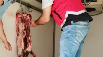 Hatay'da Uygunsuz Şartlarda Taşınan 34 Kilogram Et İmha Edildi