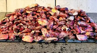 Vatandaşa yedireceklerdi, hepsine el konuldu! Tam 1 ton 700 kilo