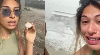 Büyük umutlarla ekti, tarlayı görünce hıçkıra hıçkıra ağladı