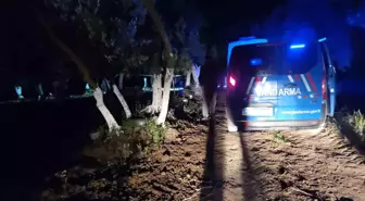 Bursa'da Çiftlik Evinde Baltayla Öldürülmüş Ceset Bulundu