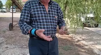 Mihalıççık'ta Zirai Don, Buğday ve Arpa Üretimini Olumsuz Etkiledi