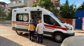 Ihlamur Toplamak İçin Ağaca Çıkan Yaşlı Adam Yaralandı