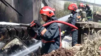 Sakarya'da Kontrplak Fabrikasında Yangın Çıktı
