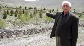 Orman Dede Rahim Demirbaş Hayatını Kaybetti