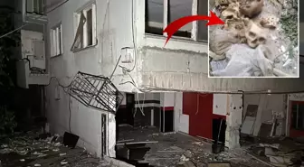 Metruk binada 3 insana ait kafatası ve kemikler bulundu