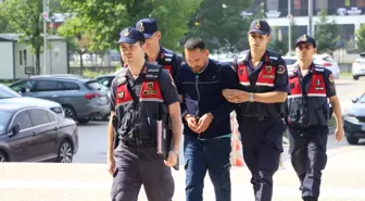 Bolu'da Ormanda Yetiştirilen Kenevirler Ele Geçirildi