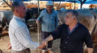 Rakamlar netleşti! İşte kurban fiyatlarının en uygun olduğu 7 ilimiz