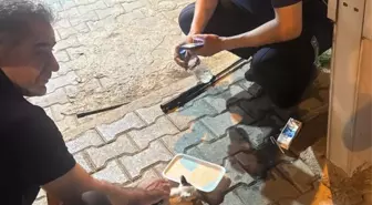 Reyhanlı'da Zabıta Ekibi Mahsur Kalan Yavru Kediyi Kurtardı