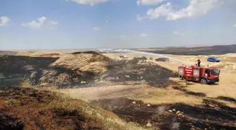 Siirt'te Yangın: 60 Dönüm Arazi Zarar Gördü