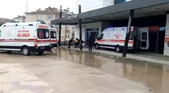 Sinop'ta Mantar Zehirlenmesi Şüphesi: Bir Vatandaş Hastaneye Kaldırıldı