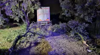Bursa'da Tır Otomobili Altına Alarak Zeytin Bahçesine Daldı: Bir Kişi Hayatını Kaybetti