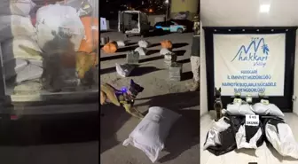 Yüksekova'da Kargo Aracında 6 Kilo Skunk Ele Geçirildi