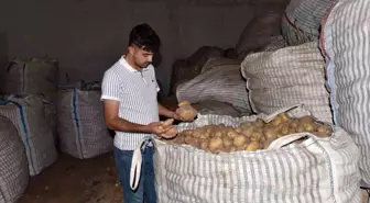 Ahlat'ta 20 Bin Ton Patates Çözüm Bekliyor