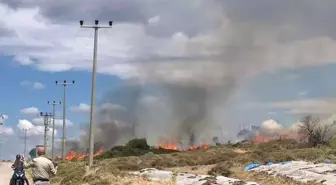 Çanakkale'de Otluk Yangını 1,5 Saatte Söndürüldü