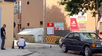 Duyarlı Vatandaşlar Yavru Kargayı Kurtardı