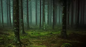 Meksika'da Kaybolan Müzik Grubunun 5 Üyesi Öldürüldü