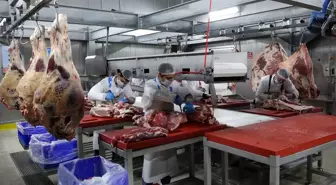 Kurban Eti Tüketimi İçin Uzmanlardan Öneriler