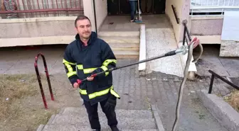 Batman'da Bina Girişinde Yılan Yakalandı