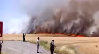 Diyarbakır'da Bin Dönüm Buğday ve Arpa Yangında Kül Oldu