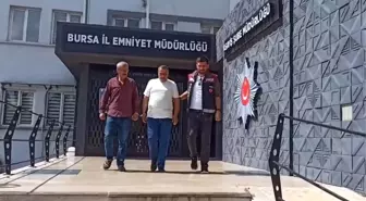 Hasanağa Enginarı Hırsızların Hedefi Oldu