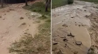 Kırşehir'i sel vurdu, tarım arazileri sular altında kaldı