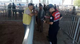 Aydın'da Kurban Bayramı Öncesi Hayvan Pazarında Güvenlik Denetimleri