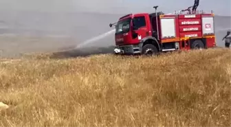 Mardin'de Arpa Ekili Arazide Yangın Kontrol Altına Alındı