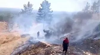 Şanlıurfa'da Sigara Izmaritleri Yangınlara Neden Oldu